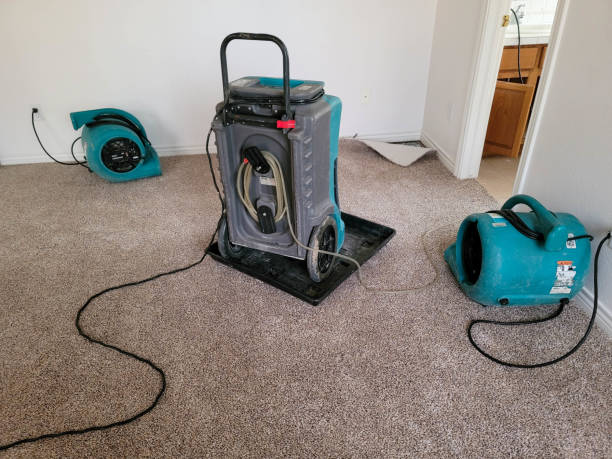 Best Basement water damage restoration  in Elverta, CA