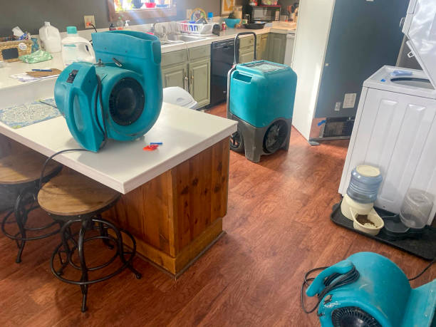 Best Water damage cleanup near me  in Elverta, CA