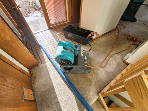 Sewage cleanup and water damage restoration in Elverta, CA