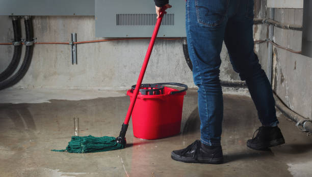 Best Water damage restoration process  in Elverta, CA