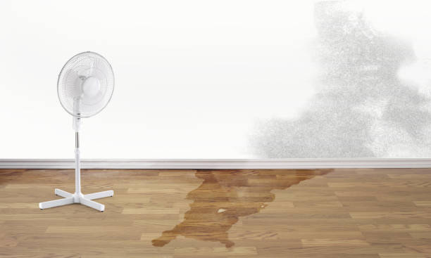 Best Ceiling water damage repair  in Elverta, CA