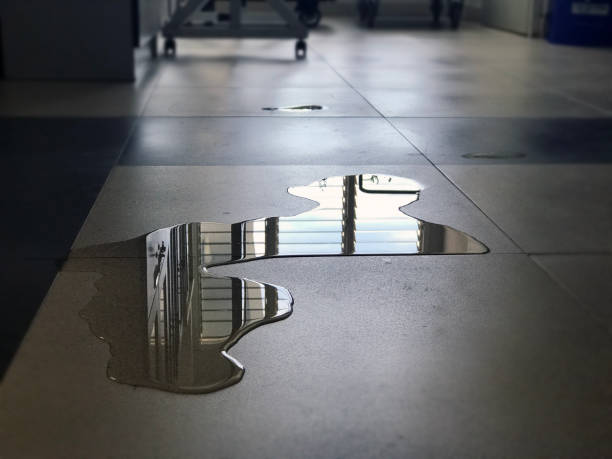 Reliable Elverta, CA Water damage restoration Solutions