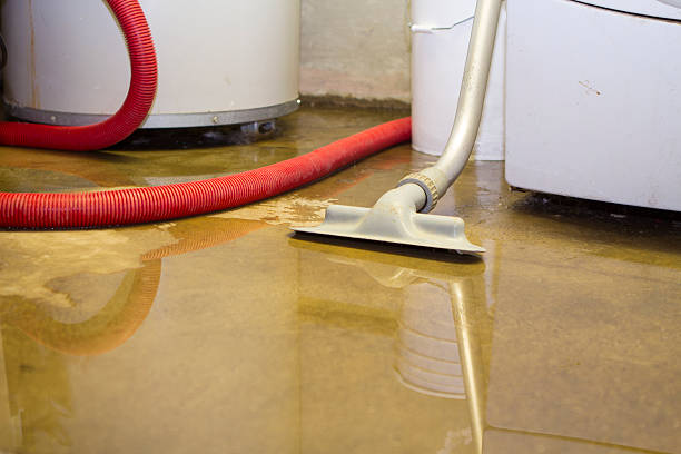 Best Professional water damage repair  in Elverta, CA