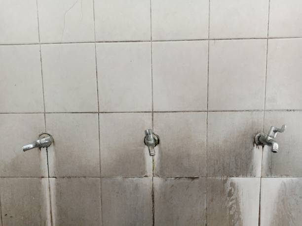 Best Sewage cleanup and water damage restoration  in Elverta, CA
