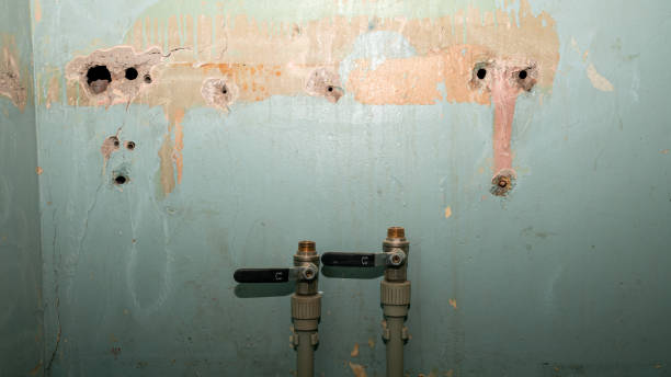 Best Fire Damage Restoration  in Elverta, CA